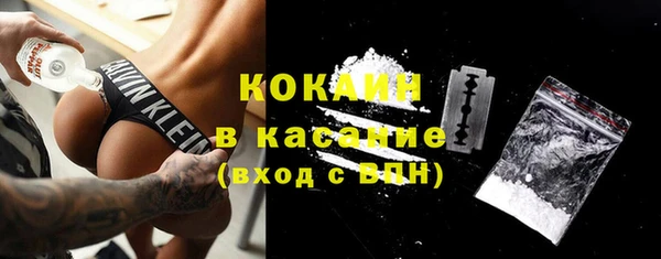 крисы Липки