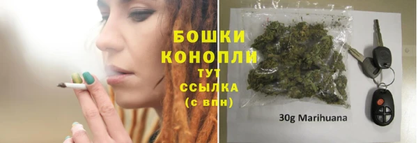 крисы Липки