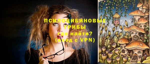 стафф Абинск