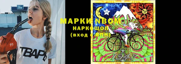 крисы Липки