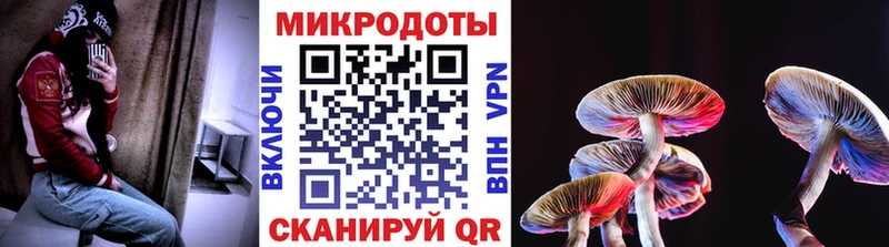 Псилоцибиновые грибы ЛСД  маркетплейс состав  ссылка на мегу сайт  Шарья  цены наркотик 